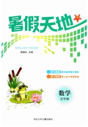桂壮红皮书暑假天地河北少年儿童出版社五年级数学