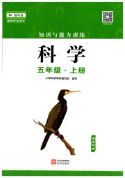 知识与能力训练五年级科学教科版