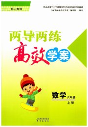 新课标两导两练高效学案六年级数学人教版