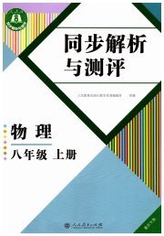 人教金学典同步解析与测评八年级物理人教版重庆专版