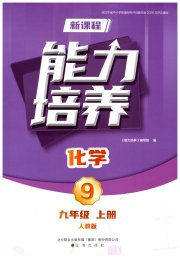 新课程化学能力培养九年级人教版