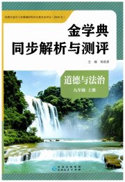 金学典同步解析与测评贵州人民出版社九年级道德与法治人教版
