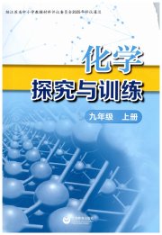 探究与训练九年级化学沪教版