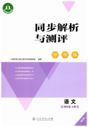 同步解析与测评学考练四年级语文人教版精练版