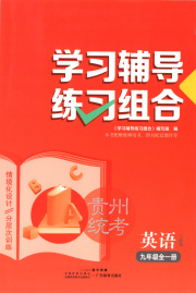 学习辅导练习组合九年级英语人教版