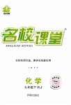 2023年名校课堂九年级化学下册人教版