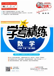 南粤学典学考精练七年级数学人教版