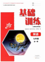 基础训练九年级英语人教版大象出版社