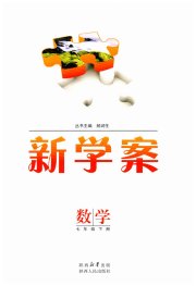 实验教材新学案七年级数学人教版