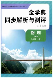 金学典同步解析与测评贵州人民出版社八年级物理人教版