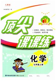 顶尖课课练九年级化学人教版