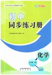 2026年同步练习册明天出版社九年级化学下册鲁教版