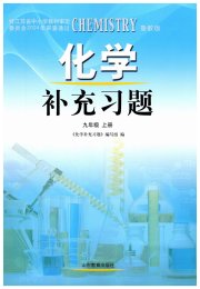 补充习题江苏九年级化学鲁教版