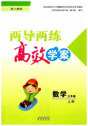 新课标两导两练高效学案三年级数学人教版