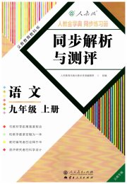 人教金学典同步解析与测评九年级语文人教版云南专版