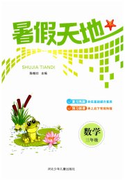 桂壮红皮书暑假天地河北少年儿童出版社三年级数学通用版