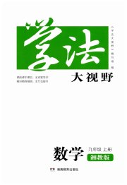 学法大视野九年级数学湘教版