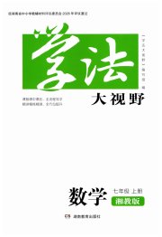 学法大视野七年级数学湘教版
