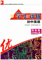 学习与评价九年级英语译林版江苏教育出版社