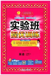 实验班提优训练三年级英语译林版