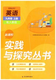 新课程实践与探究丛书九年级英语人教版