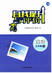 自我提升与评价九年级英语译林版