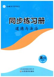 同步练习册山东美术出版社三年级道德与法治人教版