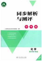 同步解析与测评学考练九年级化学人教版精练版