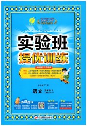 实验班提优训练五年级语文人教版