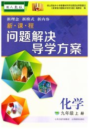 新课程问题解决导学方案九年级化学人教版