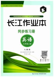 长江作业本同步练习册九年级英语人教版