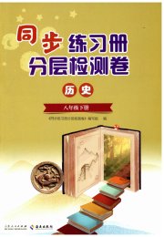 同步练习册分层检测卷八年级历史人教版
