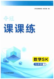 夺冠课课练九年级数学苏科版