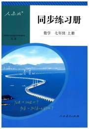 同步练习册七年级数学人教版新疆专用