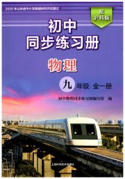 同步练习册上海科学技术出版社九年级物理沪科版