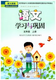 语文学习与巩固五年级人教版