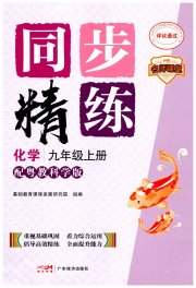 同步精练广东九年级化学科粤版