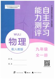 自主学习能力测评九年级物理人教版