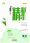 2023年精彩三年中考语文