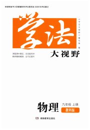 学法大视野九年级物理教育科学版