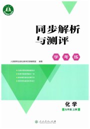 同步解析与测评学考练九年级化学人教版