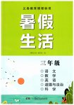 2026年暑假生活湖南少年儿童出版社三年级综合