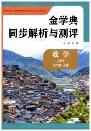 金学典同步解析与测评贵州人民出版社七年级数学人教版