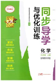 同步导学与优化训练九年级化学科粤版