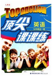 顶尖课课练九年级英语人教版