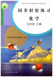 同步轻松练习九年级化学人教版