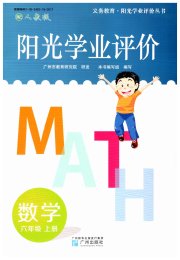 阳光学业评价六年级数学人教版