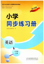 同步练习册山东科学技术出版社六年级英语人教版