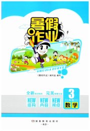 暑假作业完美假期生活三年级数学湖南教育出版社