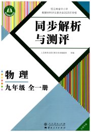 人教金学典同步解析与测评九年级物理人教版云南专版